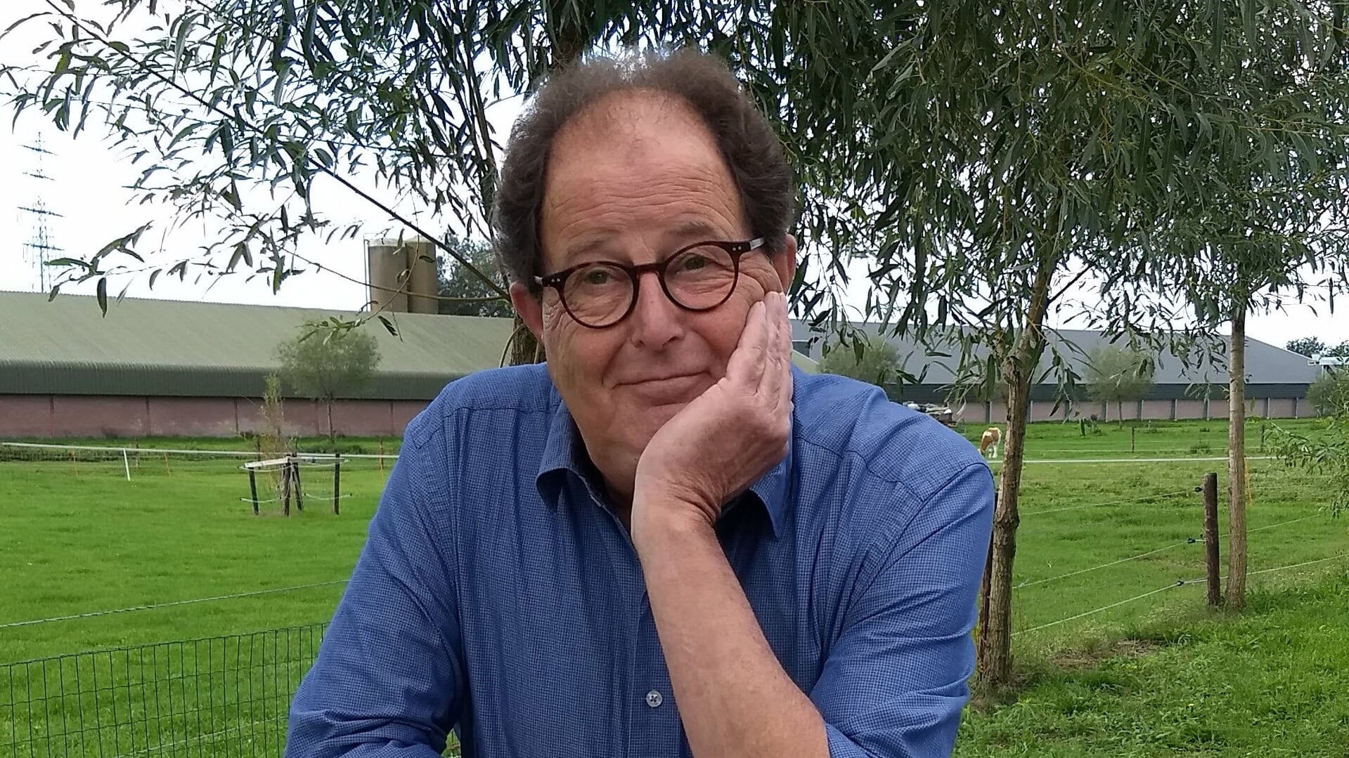 Pieter van Heiningen