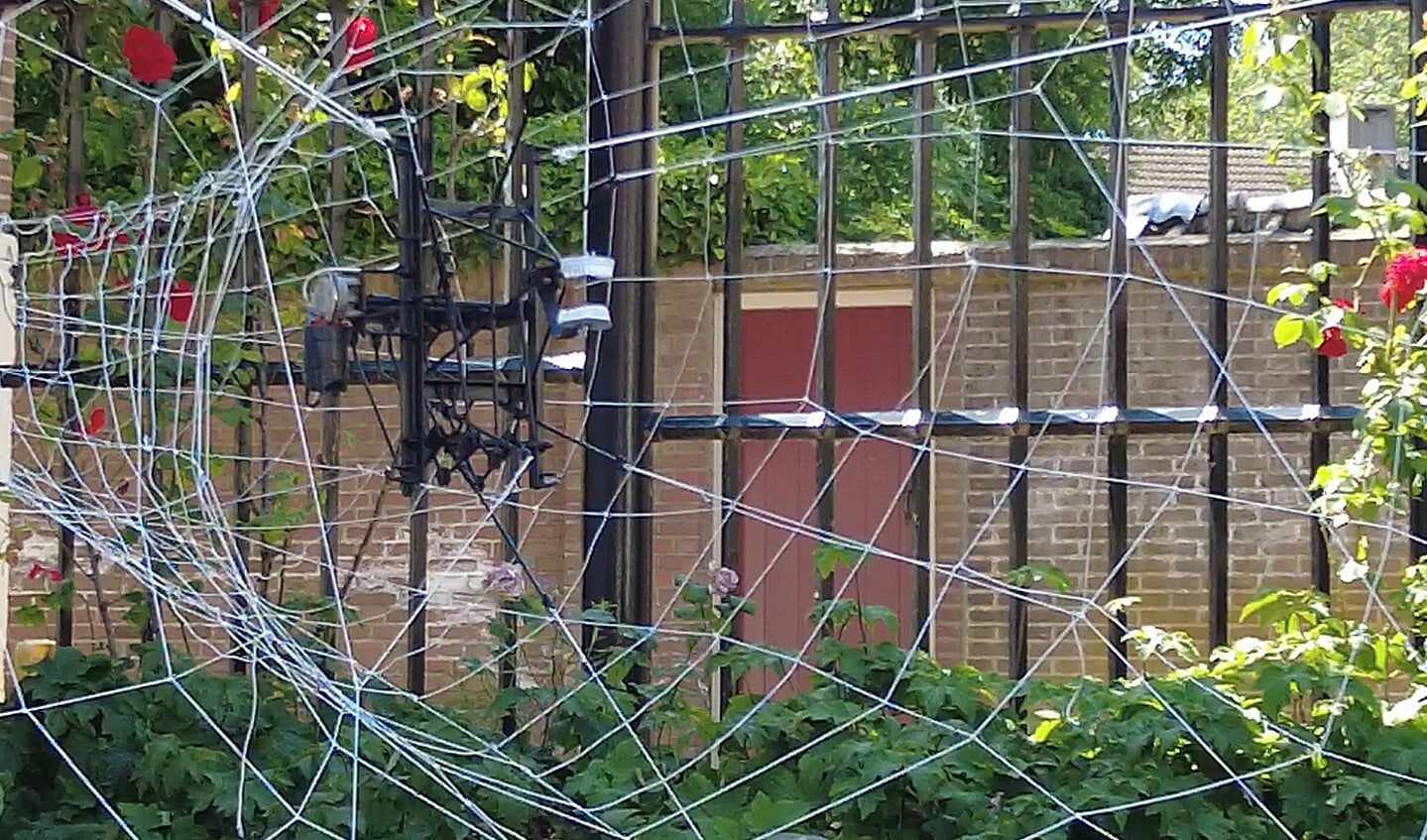 Spinnenweb In de tuin bij de Affuitloods