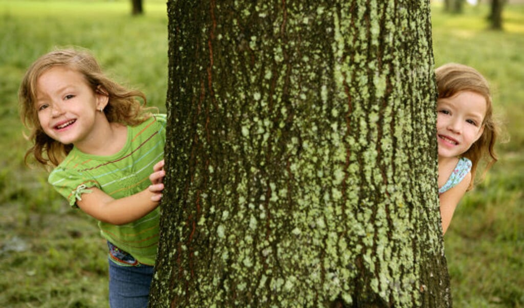 De boswachters van Geldersch Landschap & Kasteelen organiseren op woensdag 19 juli een speurtocht voor (groot)ouders en kinderen op landgoed Staverden.
