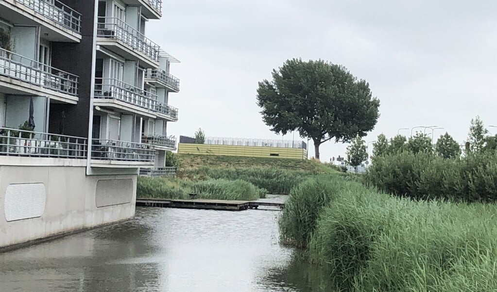 Met boom. 