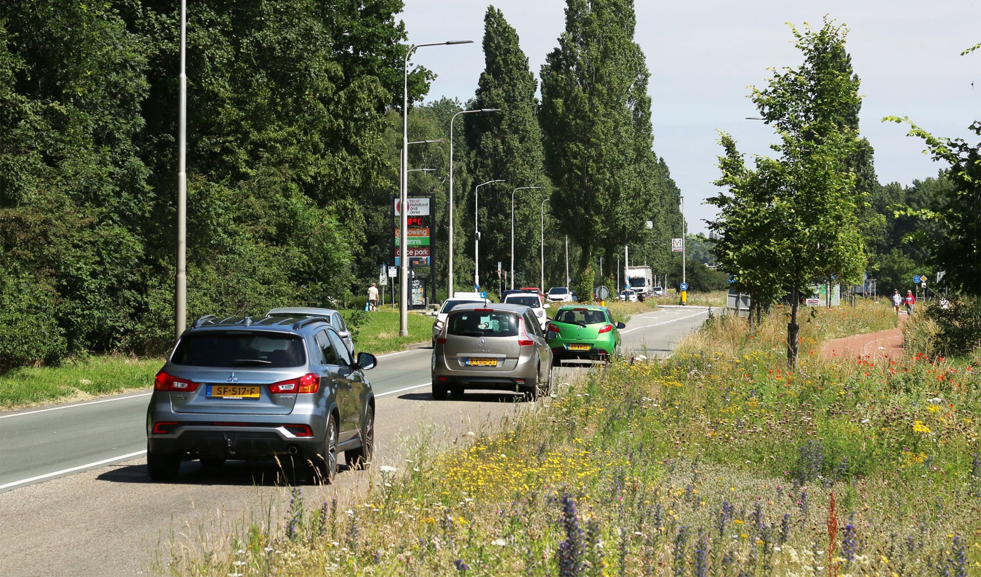 Bomen langs de Bovenkerkerweg.