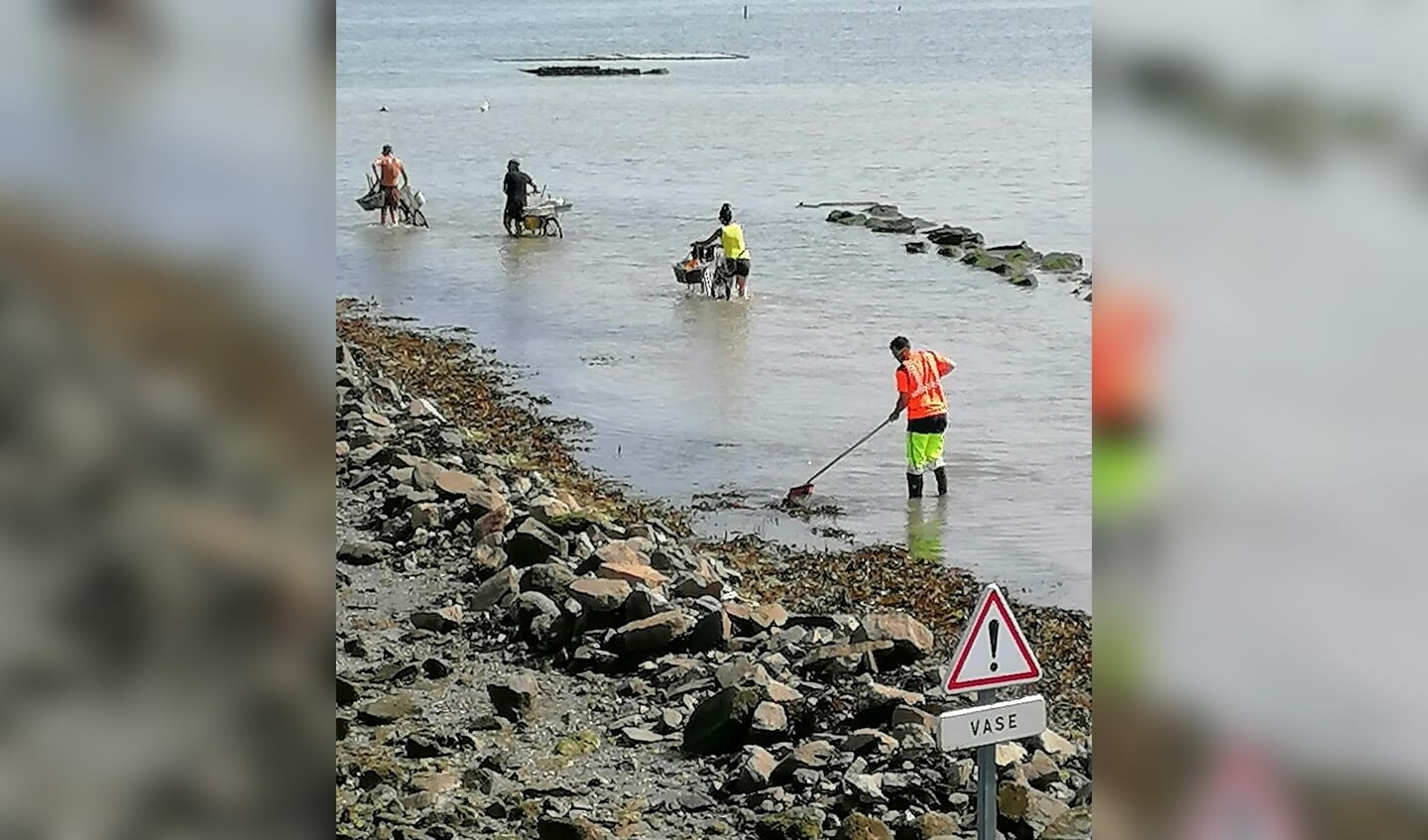 Mosselen ging zoeken op de fiets op het eiland Noirmoutier.