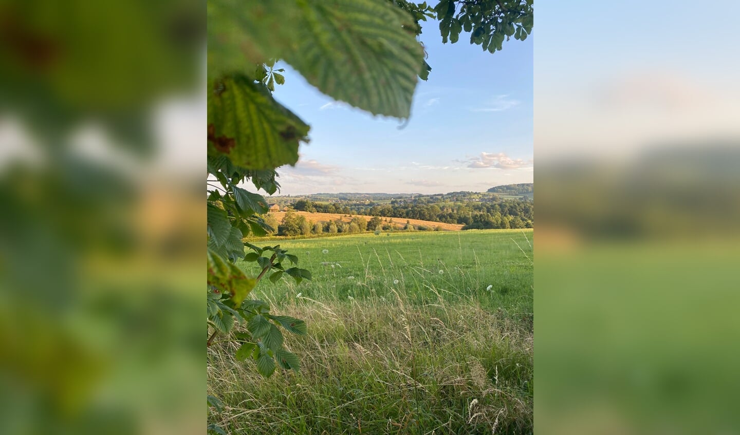 Mooie vergezichten in Cotessen in Zuid-Limburg.