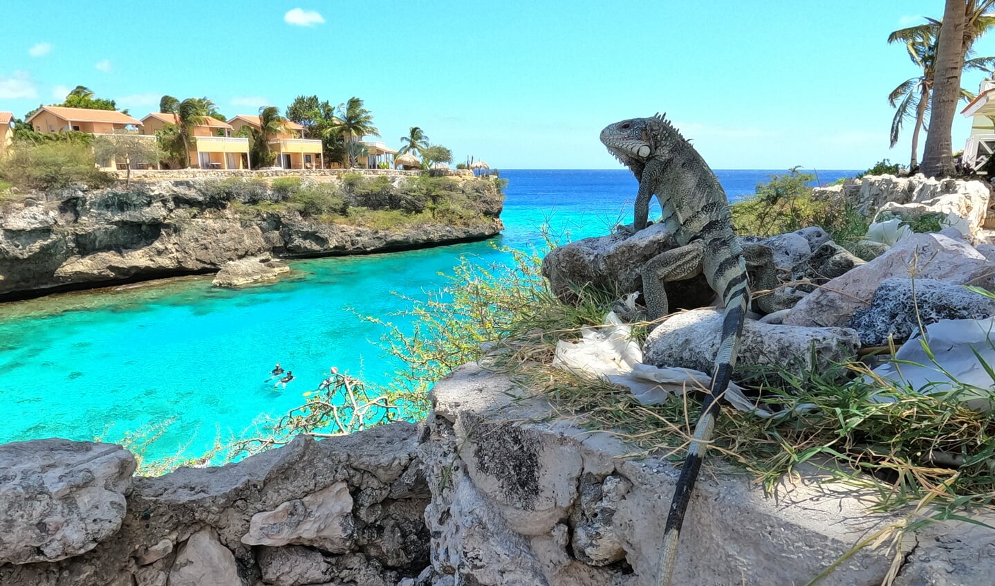Genietend van het uitzicht op Playa Lagun.