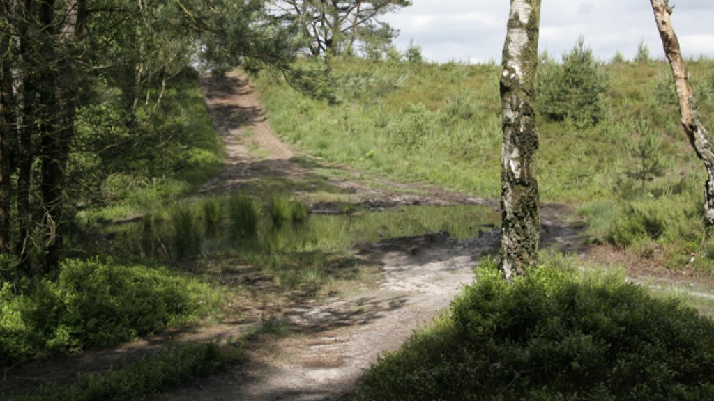 Tongerense Heide