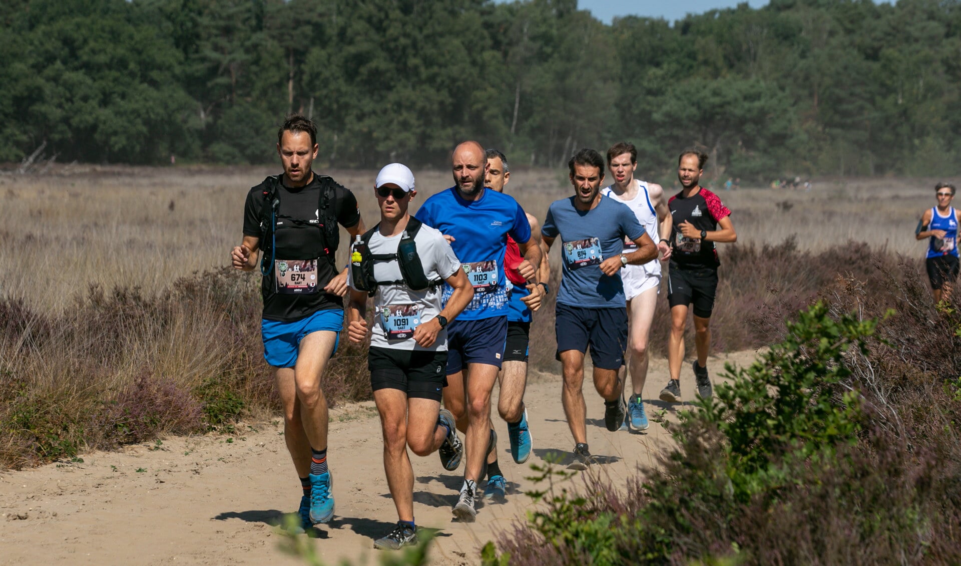 Trailers uit het hele land komen zaterdag 2 september naar de achtertuin van Ermelo voor de Veluwse Trailrun.