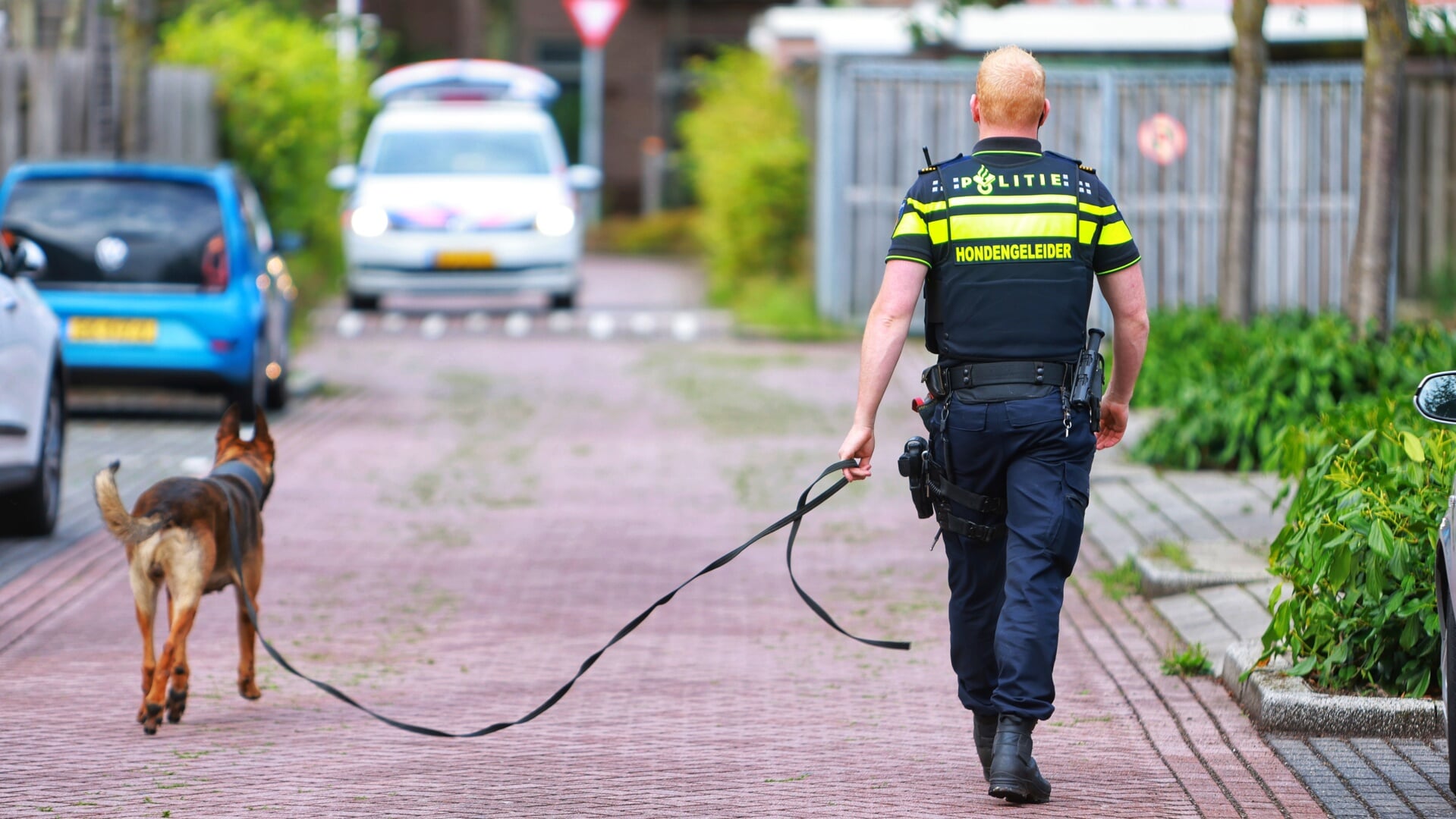 De hondengeleider en zijn honden zoeken naar mogelijk bewijs.