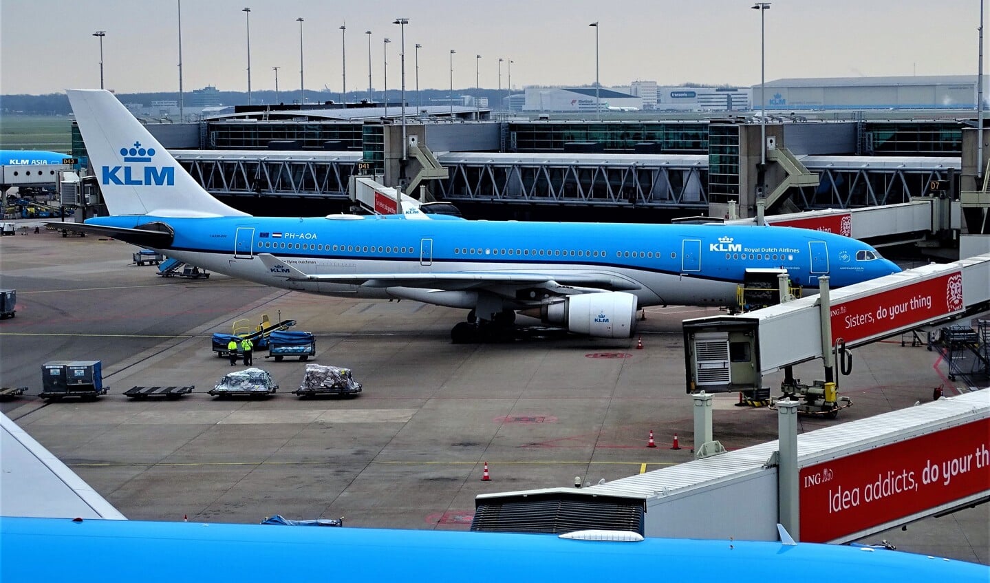 Vlucht