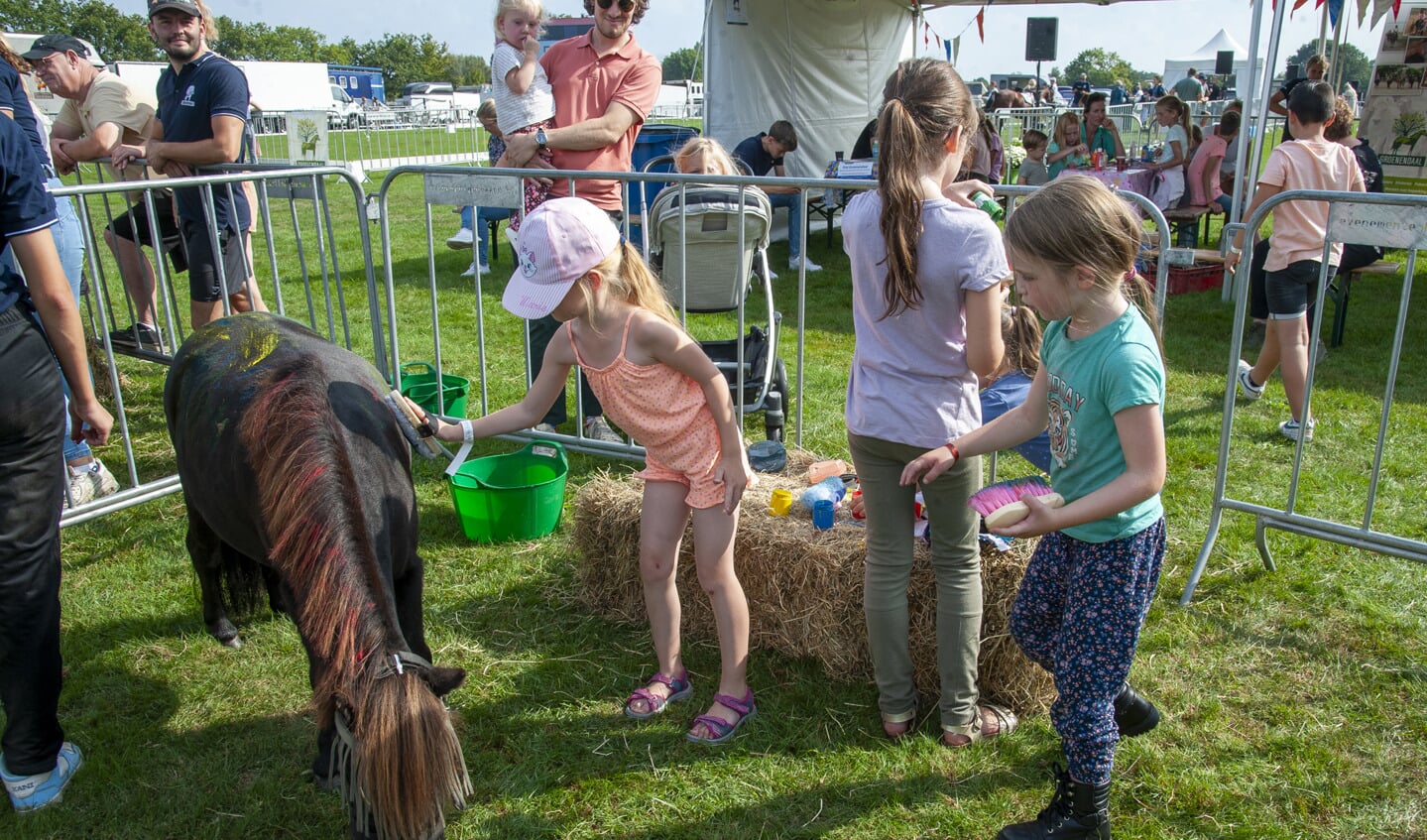 Dorpsfeest van Hoogland