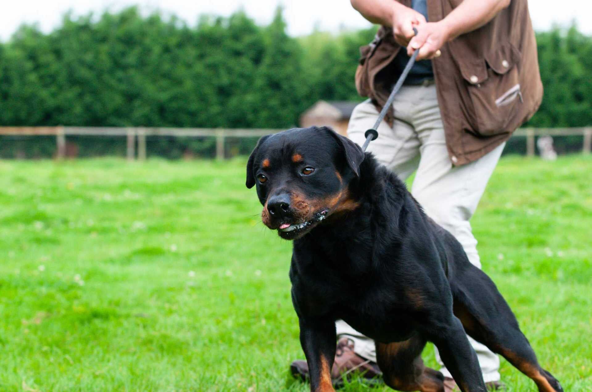 Foto: iStock