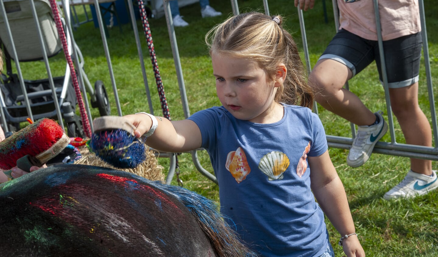 Dorpsfeest van Hoogland