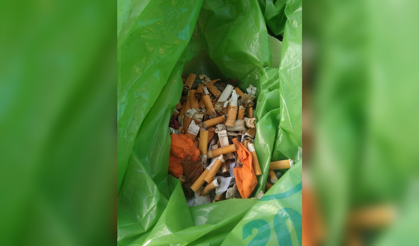 De zwerfafval helden van 16 september