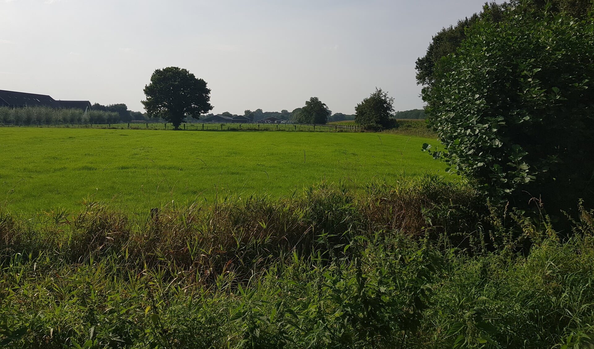 ,,Dit ontwikkelen is de natuur weer een stukje verder wegduwen van het dorp.’’