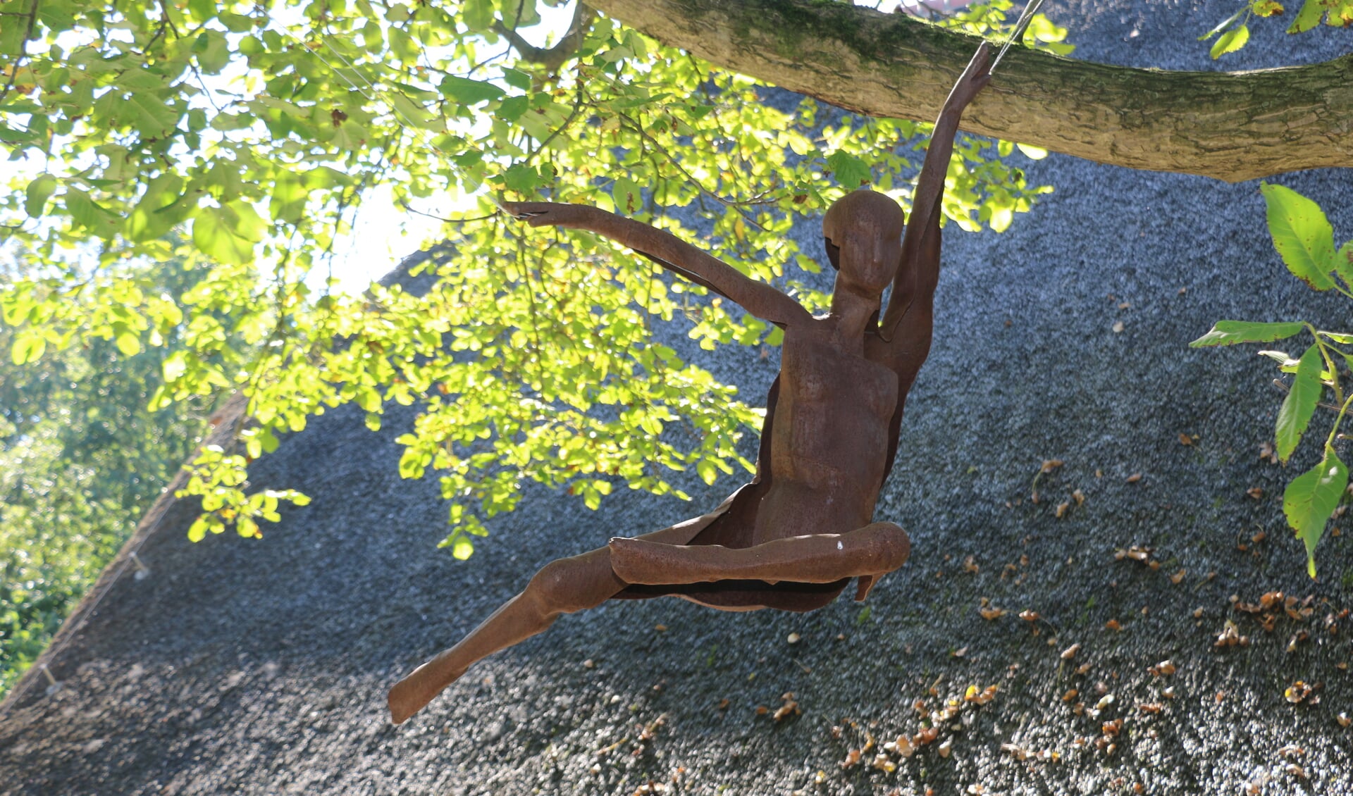 Afbeelding