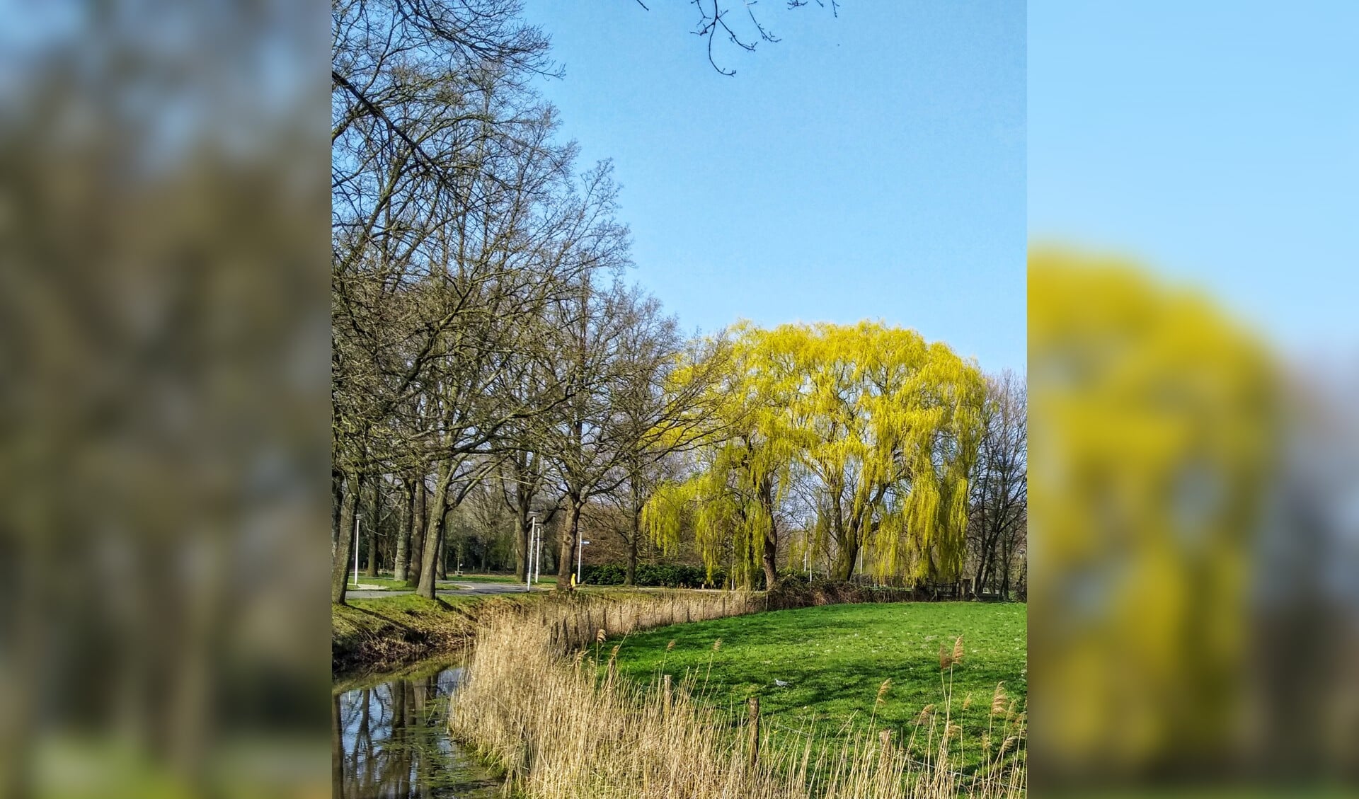 park Schothorst