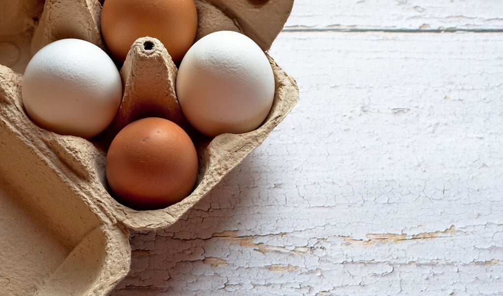 Diederik Gommers durft de eieren van de kippen die op zijn eigen erf scharrelen niet meer te eten. 