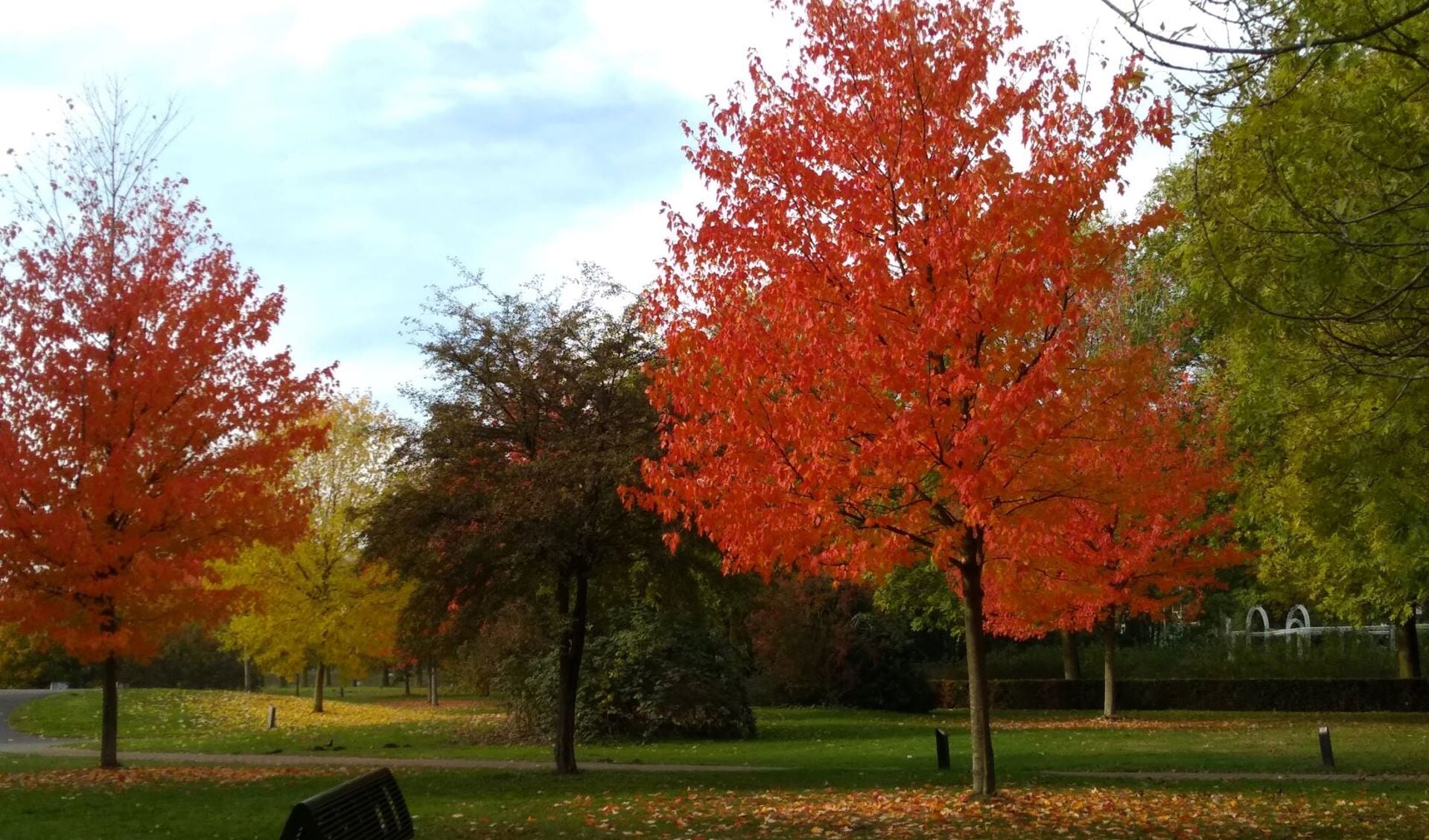 park Schothorst