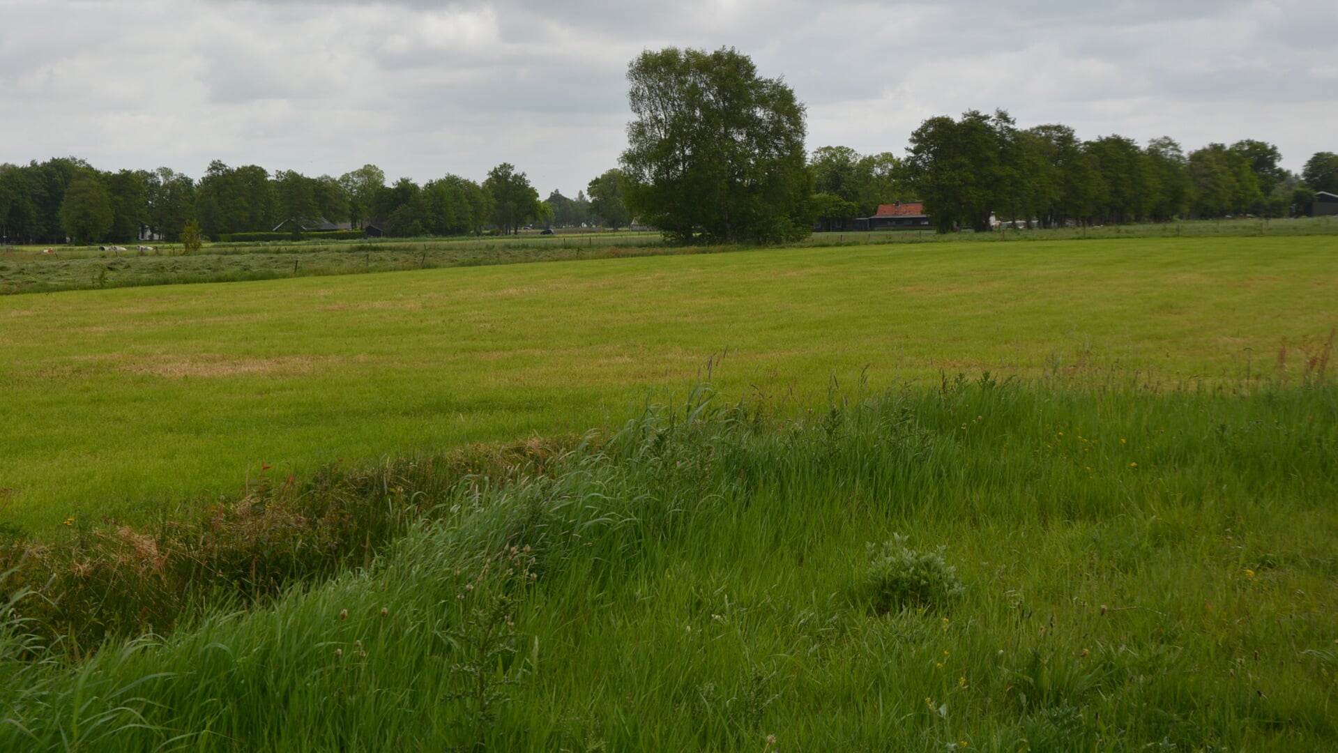 Schop kan hier niet snel genoeg in de grond.