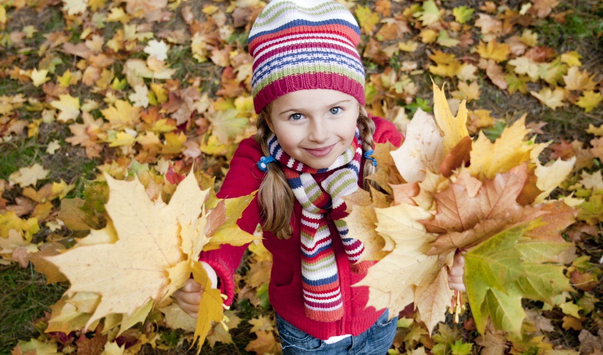 De boswachters van Geldersch Landschap & Kasteelen organiseren op woensdag 18 oktober een herfstspeurtocht op Landgoed Staverden.