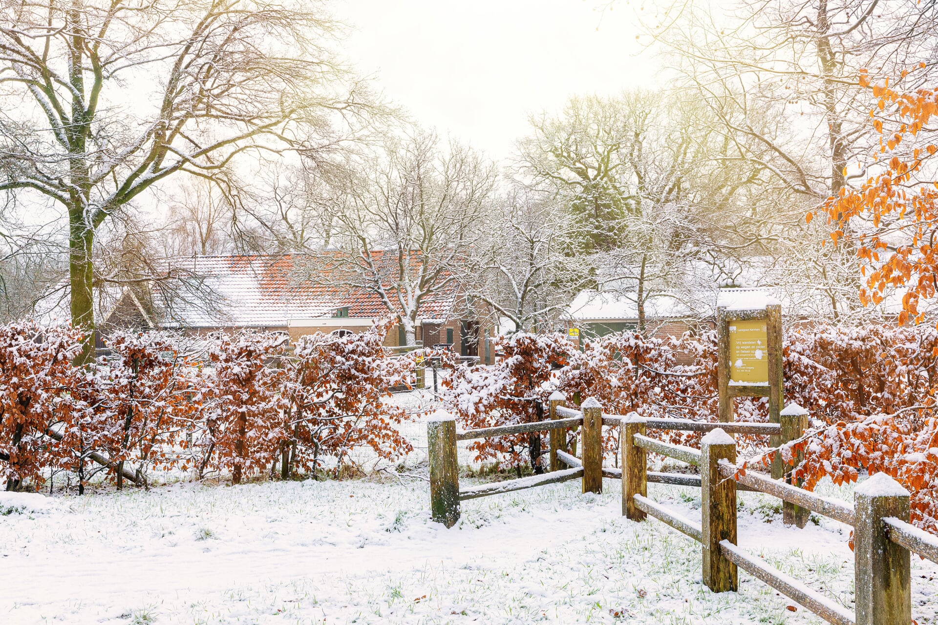 Winters Weer In Ede Knmi Waarschuwt Voor Gladheid Edestad Nl Nieuws