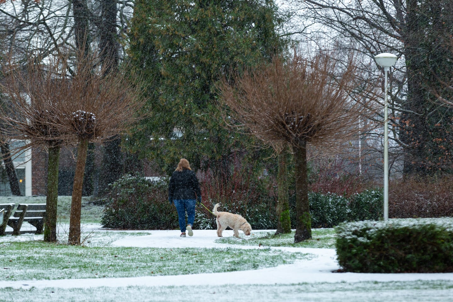 Woudenberg én Woudenbergers In Een Winters En Wit Landschap ...