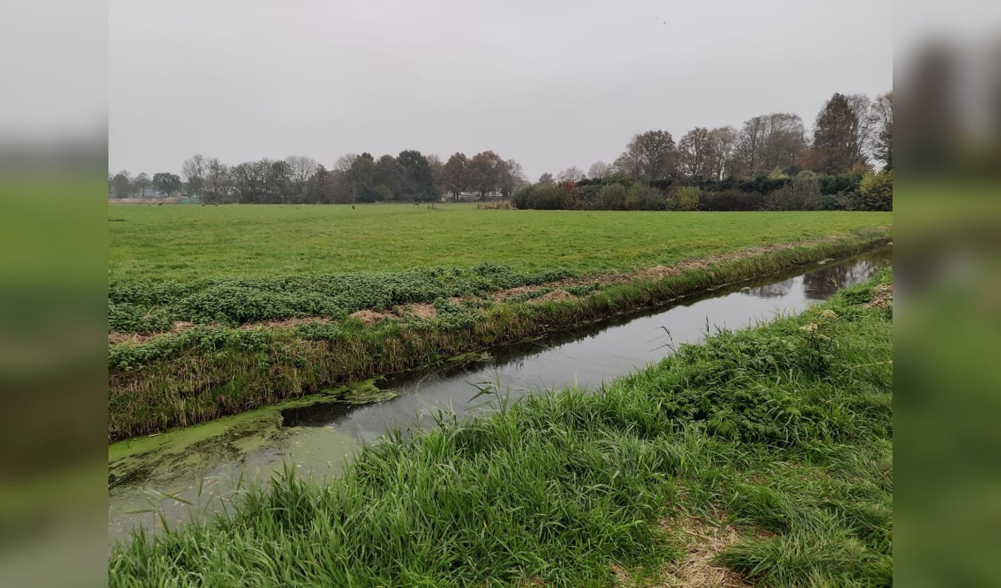 Het beoogde gebied met rechts de begraafplaats en links daarboven de aansluitende bestaande bebouwing van de Tjalk.