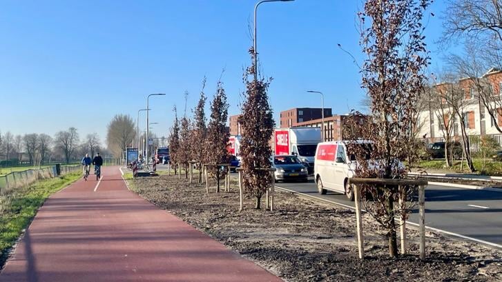 Nieuwe aanplant langs de Bovenkerkerweg.