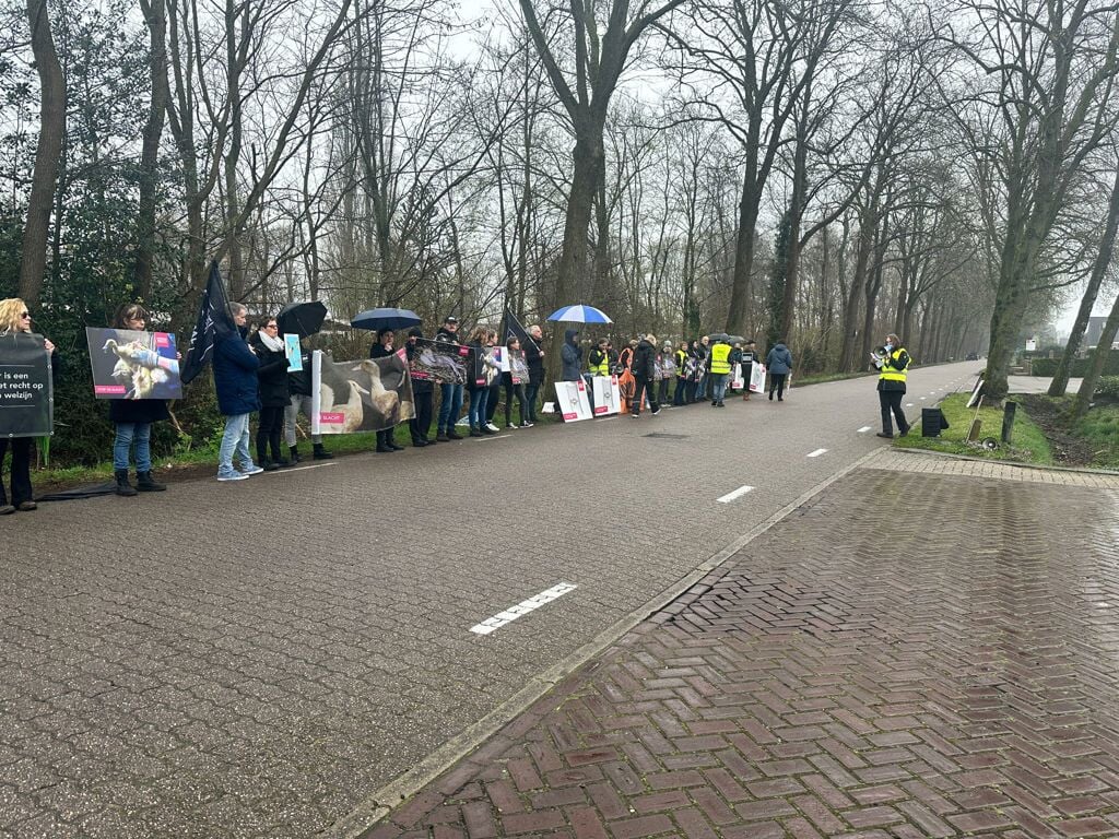 Demonstranten-Animal-Rights-bij-Tomassen-Duck-To-in-Ermelo-eisen-sluiting-van-eendenslachterij-en-verbod-op-eendenhouderij