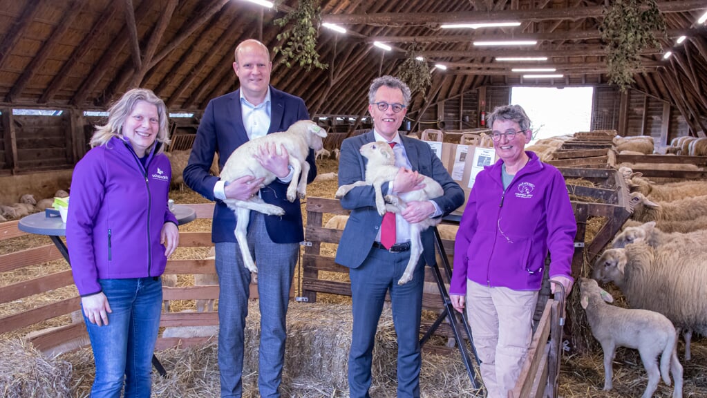 Burgemeester Hans van Daalen en wethouder Ronald van Veen hebben de laatst geboren lammetjes bij schaapskooi Ermelo geadopteerd.
