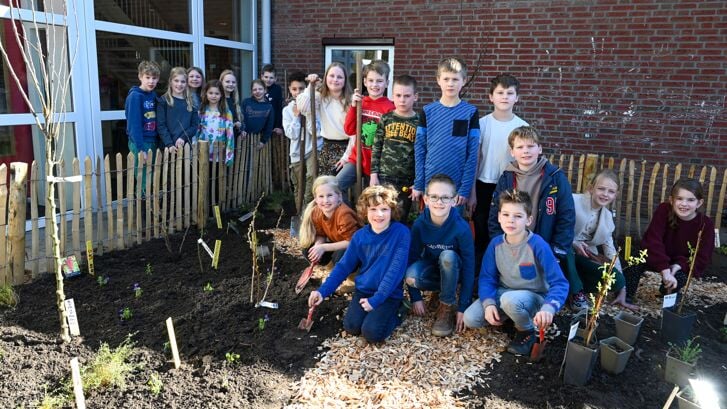 De leerlingen van de Insingerschool in Hees zijn trots op het voedselbosje en werken er graag in.