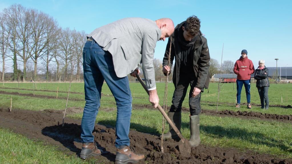 Gijs de Kruijf, directeur-bestuurder van de stichting Nationaal Landschap Utrechtse Heuvelrug, helpt bij het planten van bomen.  