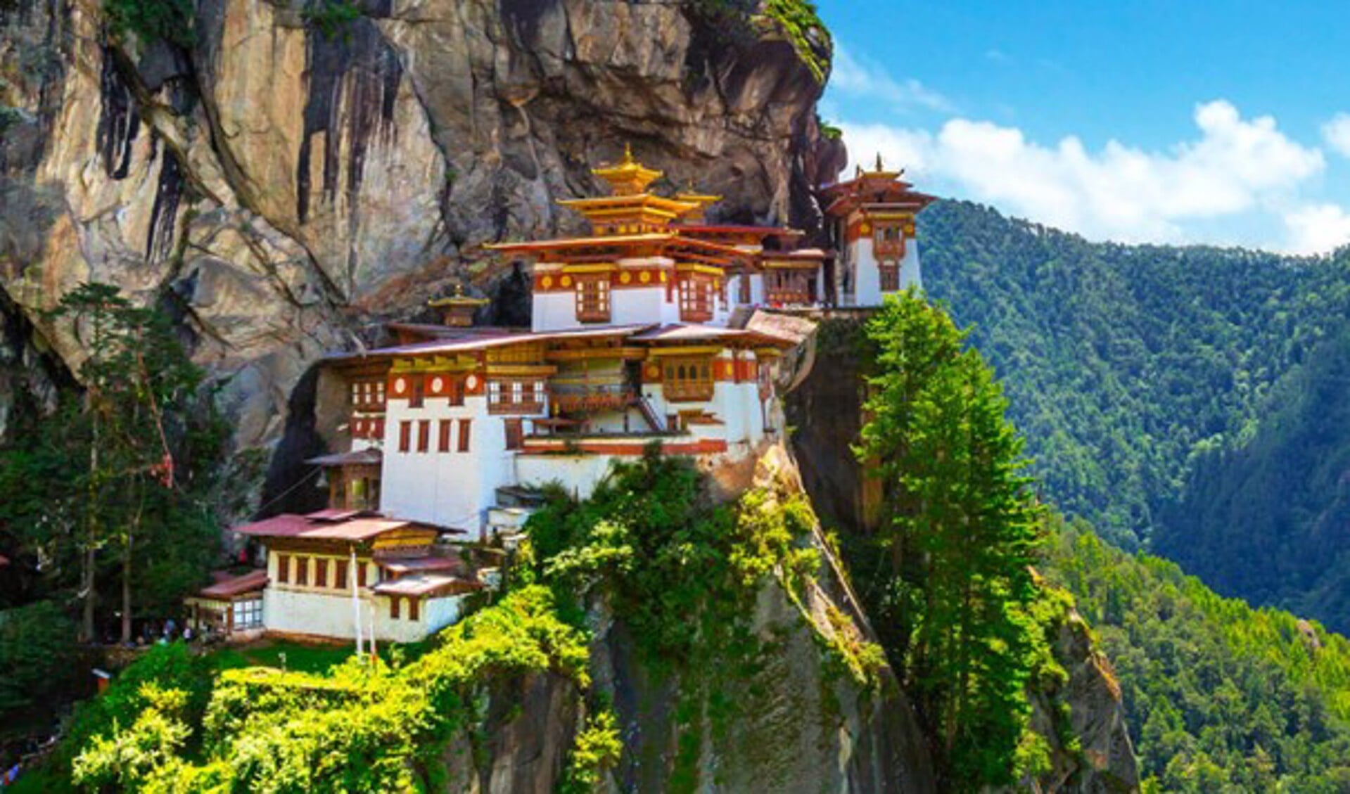 Bhutan: Tigers nest 