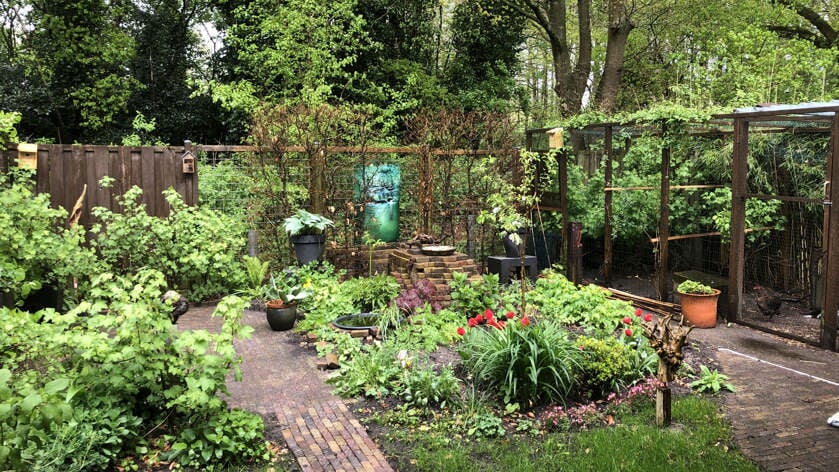 Kies voor biodiversiteit in je tuin: bloeiende planten, bomen en struiken.