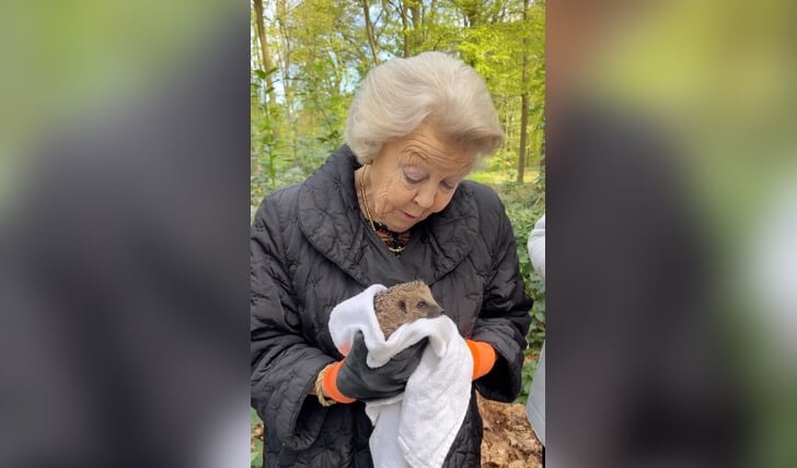 Prinses Beatrix met één van de egels.