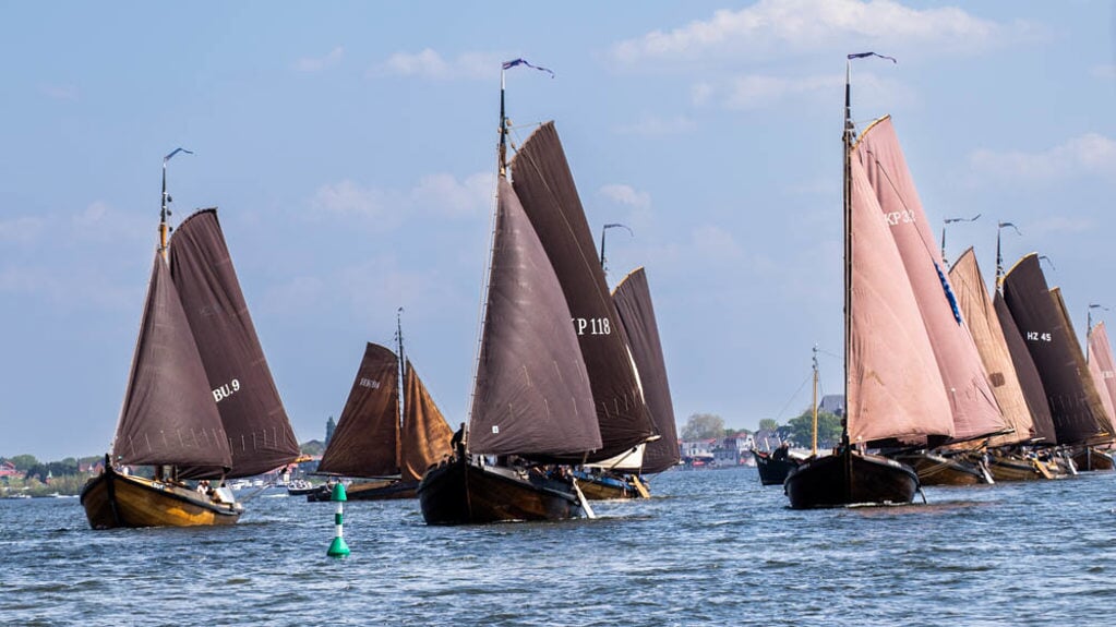 Een verzameling botters uit verschillende plaatsen zoals Harderwijk, Spakenburg en Urk.