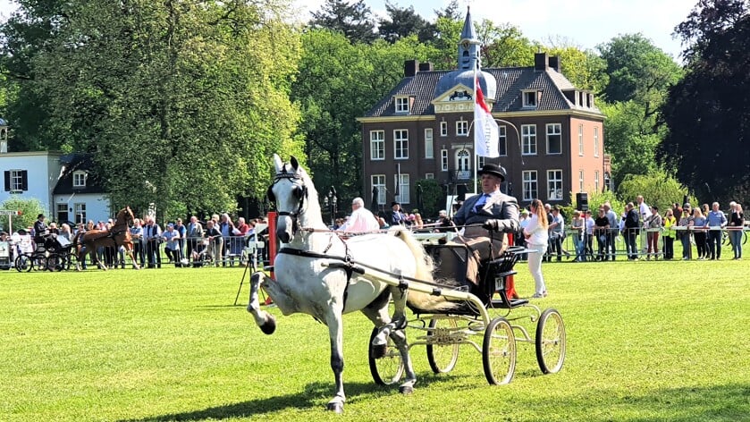 Lambertus Huckriede nam met zijn paard Renvyle International deel aan de klasse 'Eenspannen Tuigpaarden Open Klasse'.