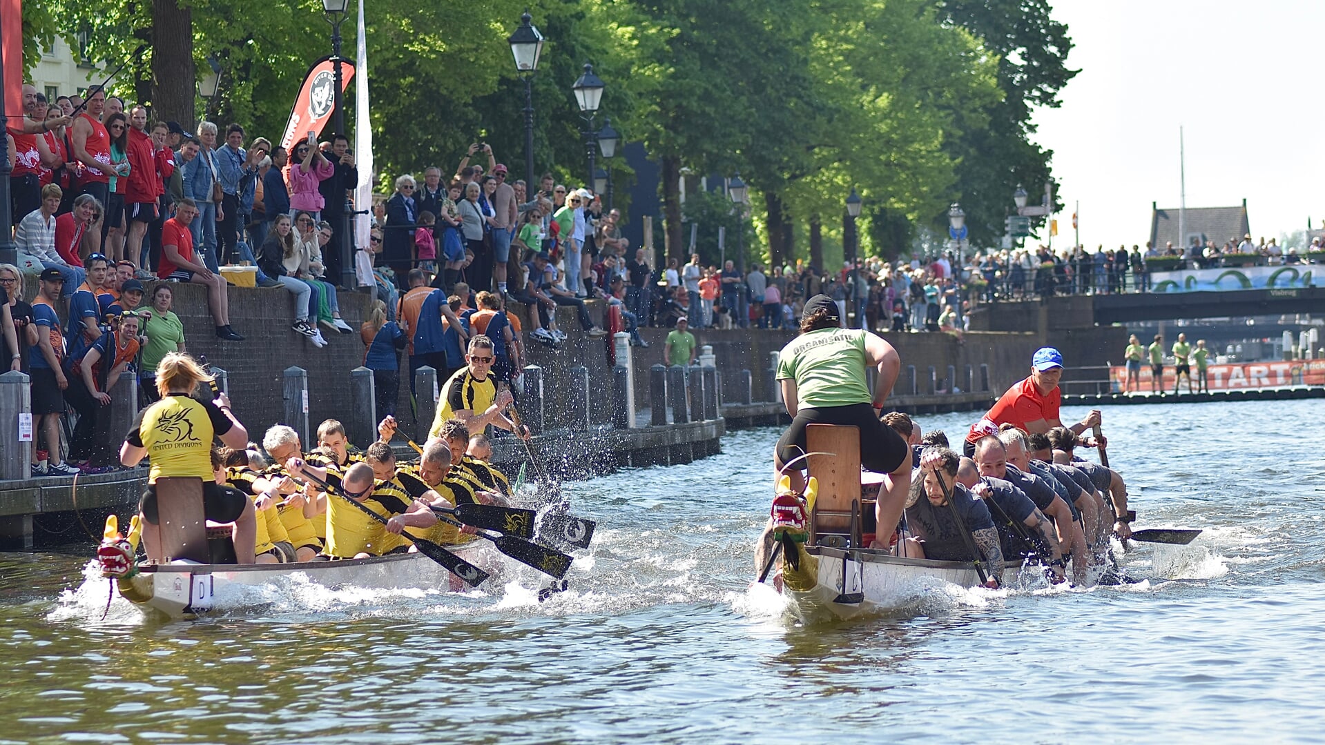 Op zaterdag 1 juni worden de Drakenbootraces gehouden in de Lingehaven.