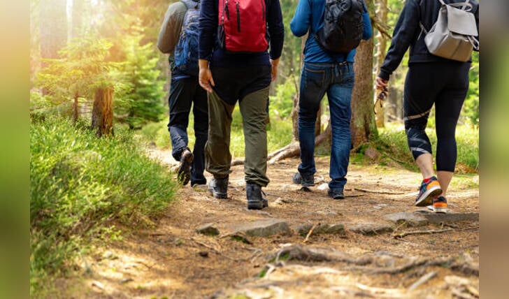 nature adventures - group of friends walking in forest with backpacks