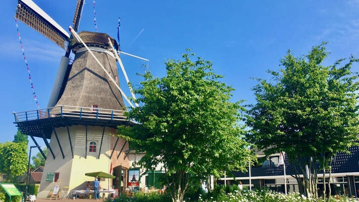 Op zaterdag 11 mei zet de molenaar de deuren van ‘De Koe’ in Ermelo wagenwijd open.
