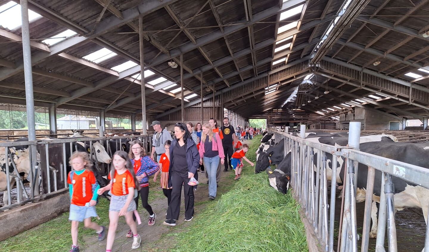 Avondvierdaagse door Bunnik, Odijk en Werkhoven zit er weer op ...