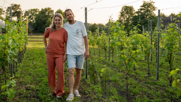 Margriet is wijnboerin op Nederlandse platteland: 'Je moet wel een klein beetje gek zijn'