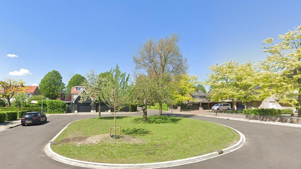 De 'oude' situatie: de twee kleinere bomen in het midden van het grasveld zijn weggehaald.