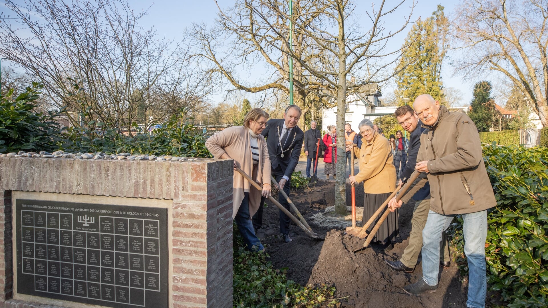 Beeld bij artikel: Baarn heeft haar eigen Anne Frankboom in het Amaliapark