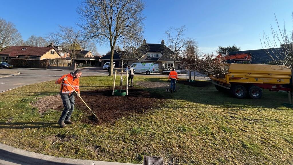 Het plantsoen aan de Sweijslaan in Barneveld is weer twee bomen extra rijker.