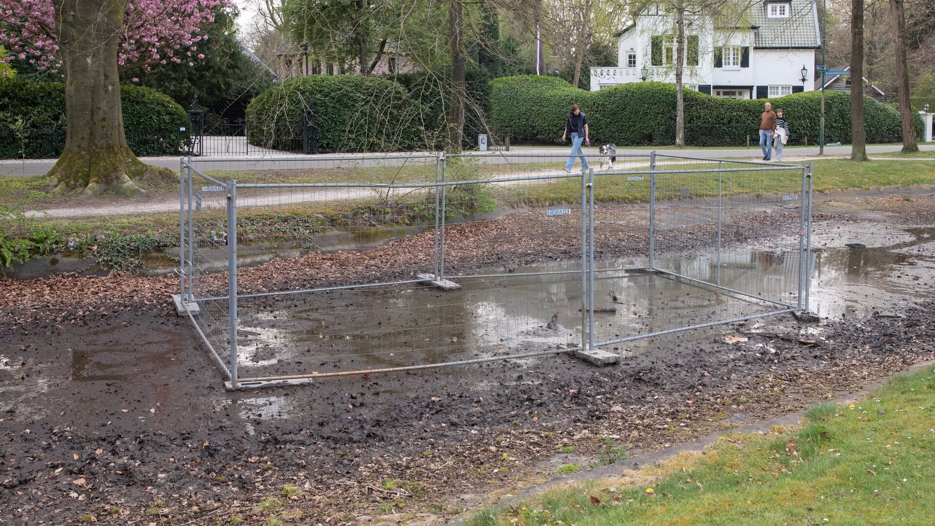 Beeld bij artikel: Irritaties tussen oppositie en college lopen op: ‘De vijver is het anker van de wijk’