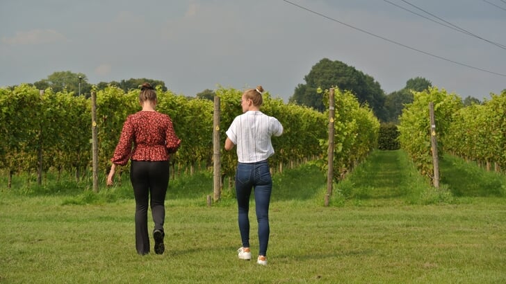 Vriendinnen wandelen bij Wijngaard Telgt.