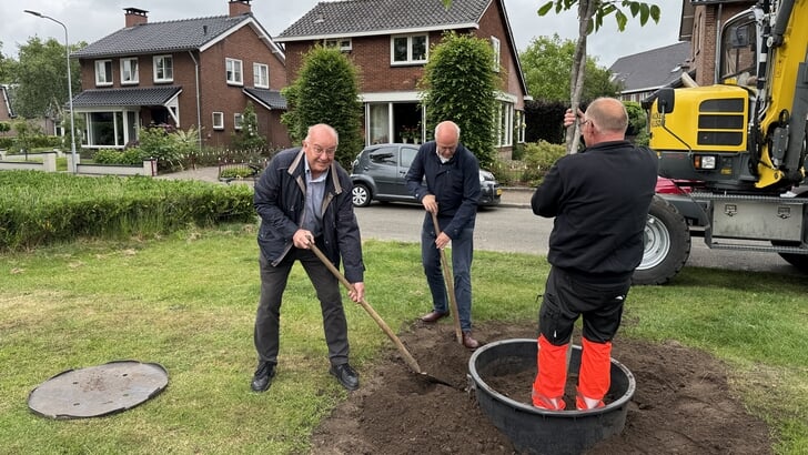 Gert Ploeg en Wouter Fokker, leden van het Wijkplatform Barneveld Centrum, helpen bij het planten van de walnotenboom aan de Van Dompselaerstraat.