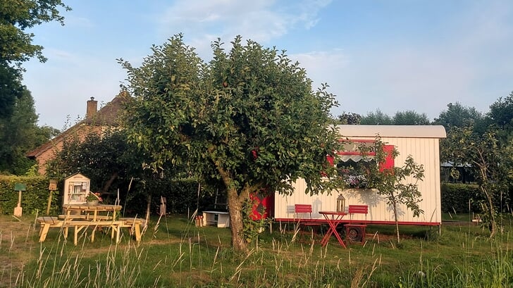 Afbeelding