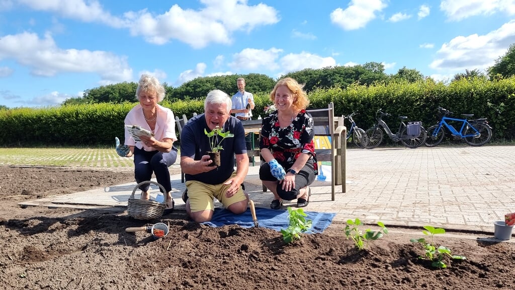De aardbeienplanten worden, als openingsritueel, geplant door v.l.n.r. Ada van der Velden-Westervelt, Hans Hoogerdijk en wethouder Karin Bijl.