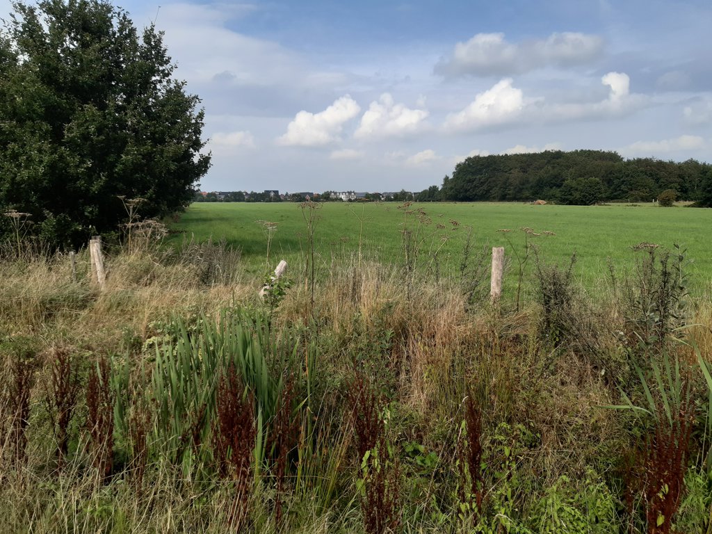 Het zoekgebied in Leusden-Zuid, gezien vanaf de Arnhemseweg. 